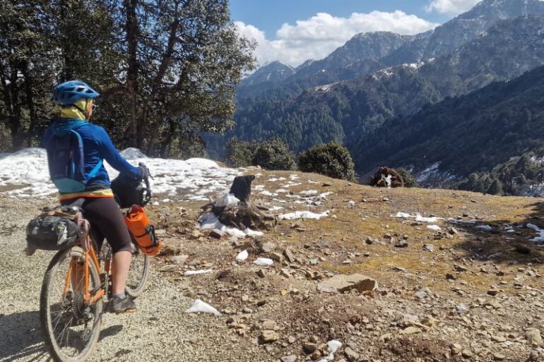 Best Gravel Bikes for Women