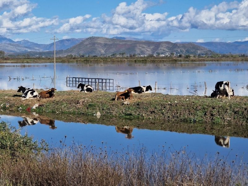 cycling north albania