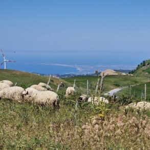 bikepacking sicily nebrodi
