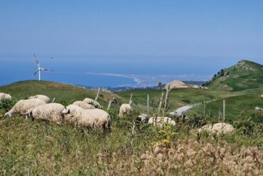 bikepacking sicily nebrodi