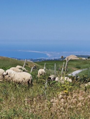 bikepacking sicily nebrodi