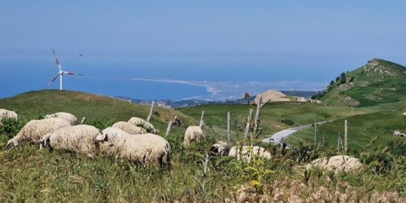 bikepacking sicily nebrodi