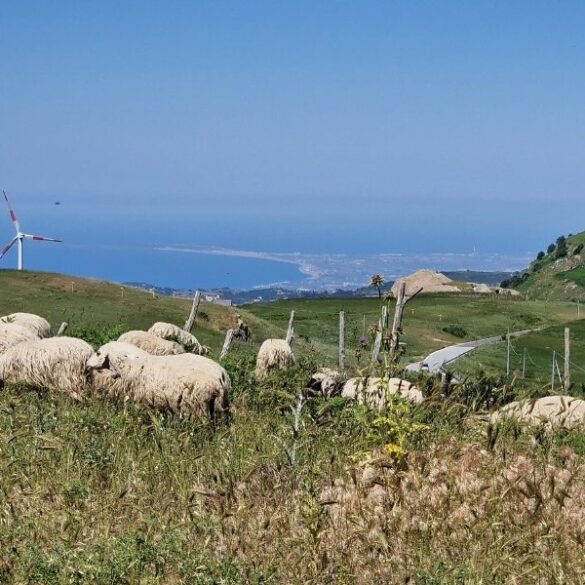 bikepacking sicily nebrodi