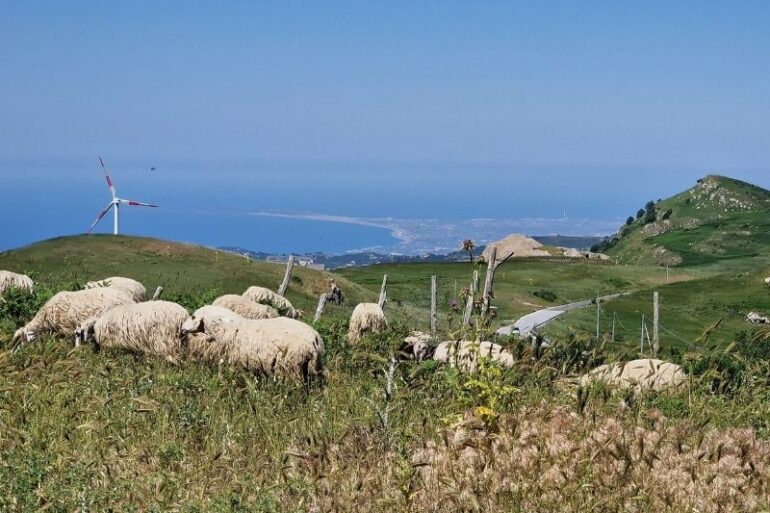 bikepacking sicily nebrodi