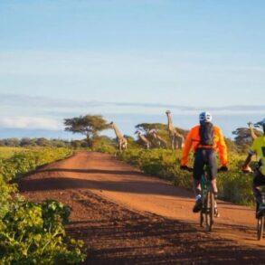 cycling safari in africa