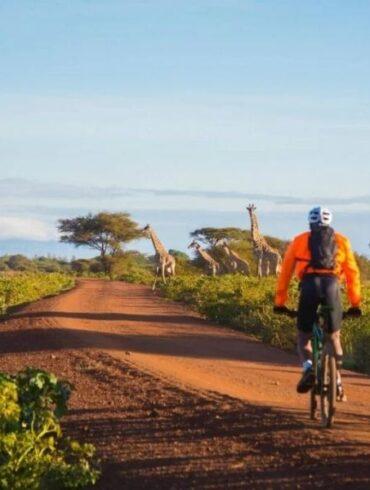 cycling safari in africa