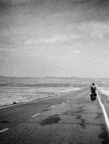 the long landscape review