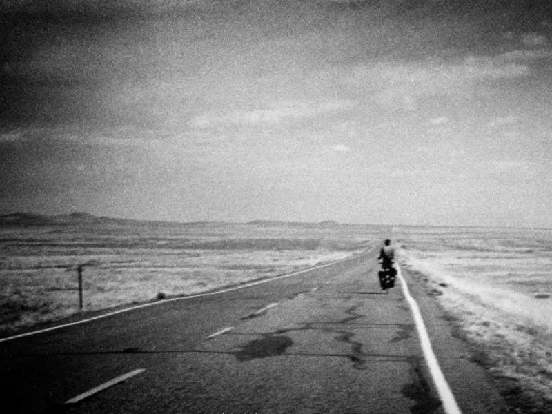 the long landscape review