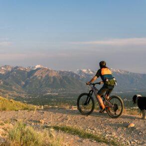 Mtb Hip Pack