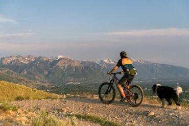 Mtb Hip Pack