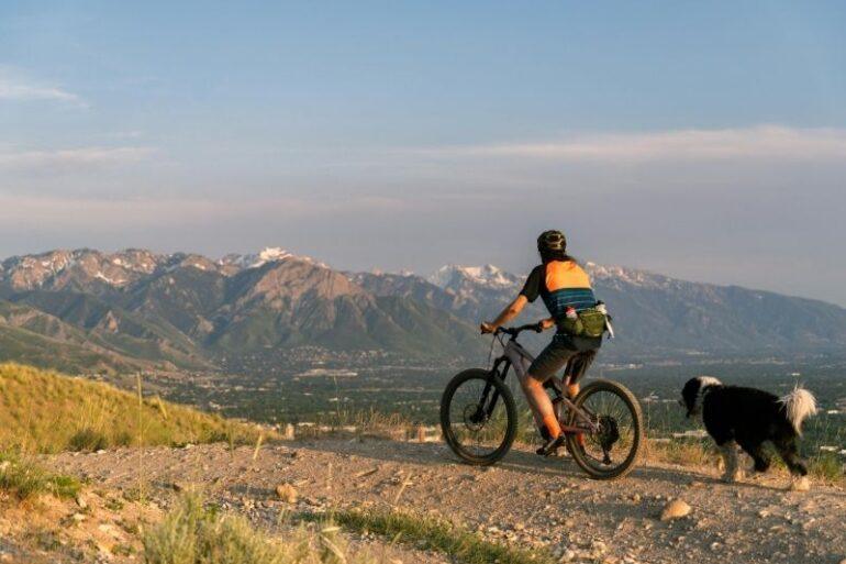 Mtb Hip Pack